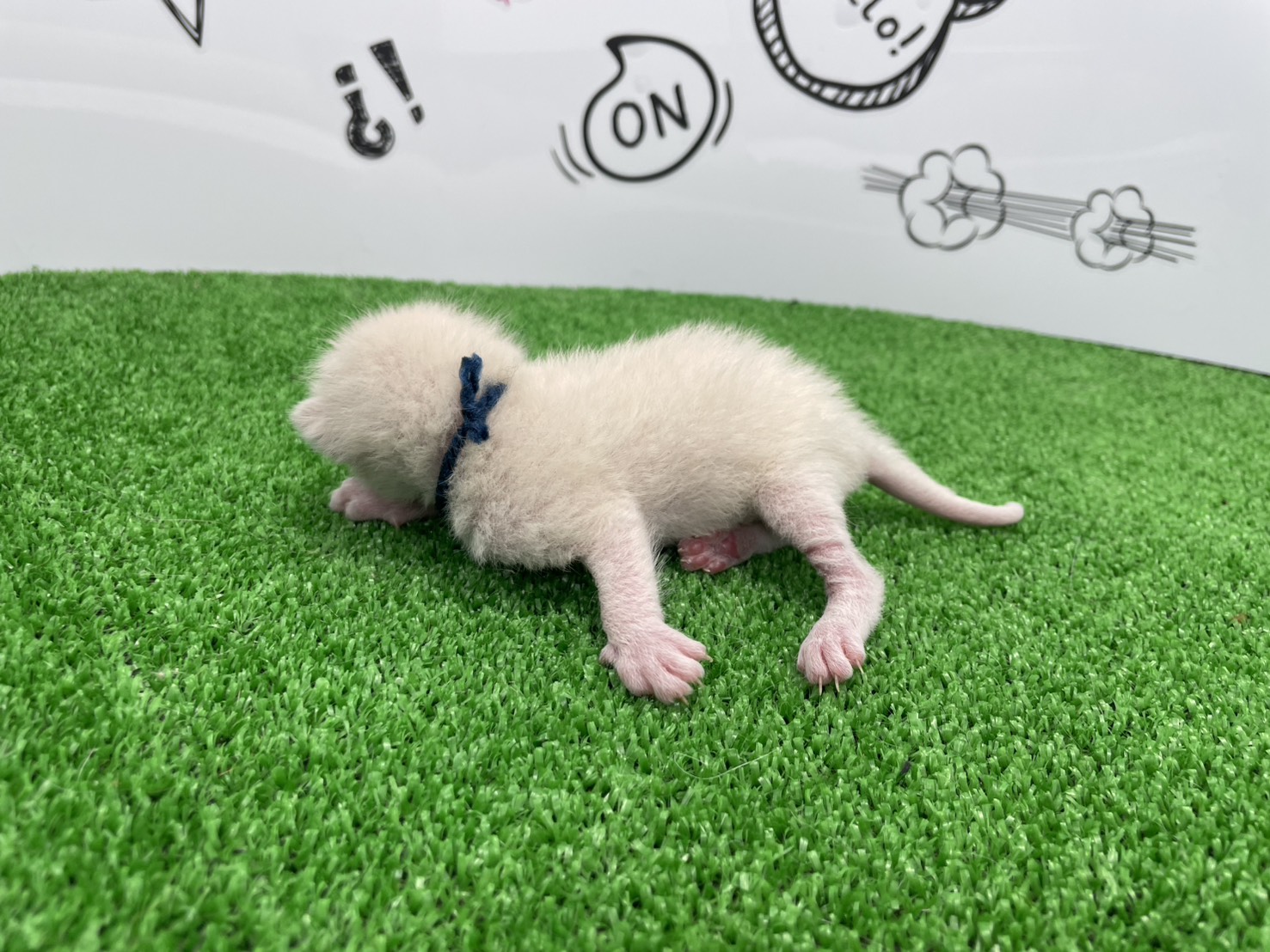 赤ちゃん写真2-2