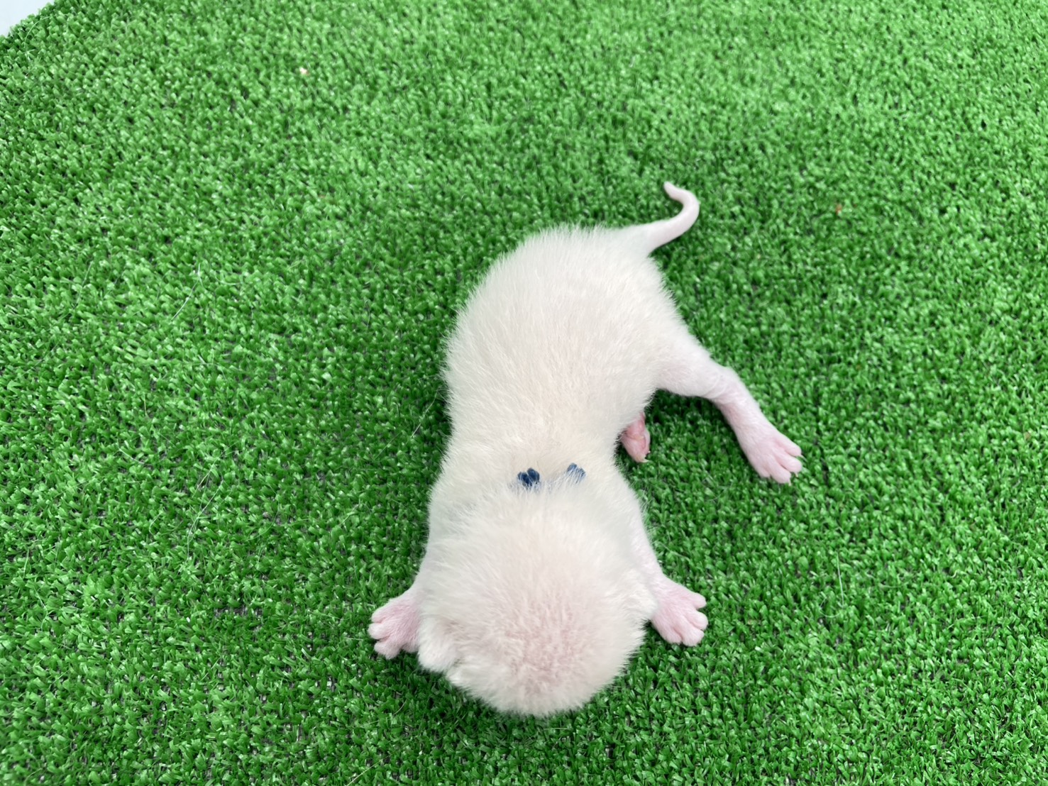 赤ちゃん写真2-3