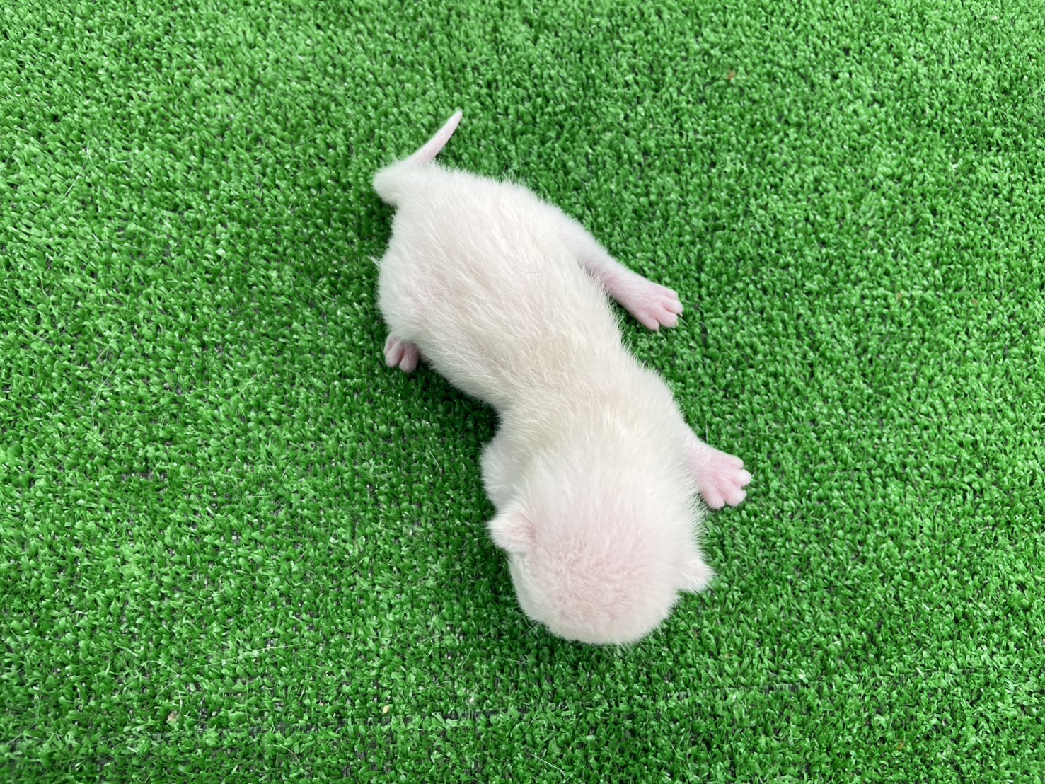 赤ちゃん写真1-3