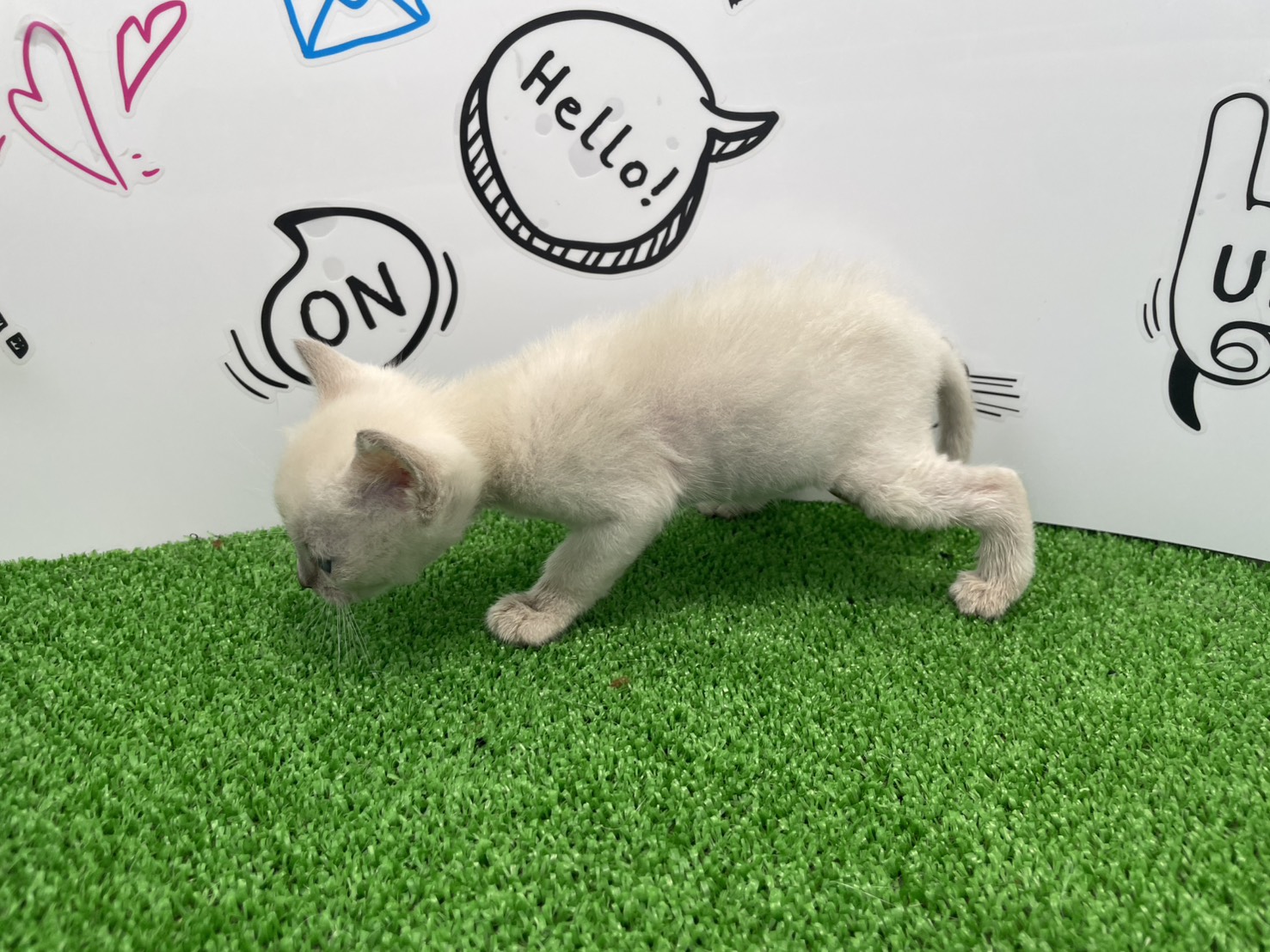 赤ちゃん写真2-2