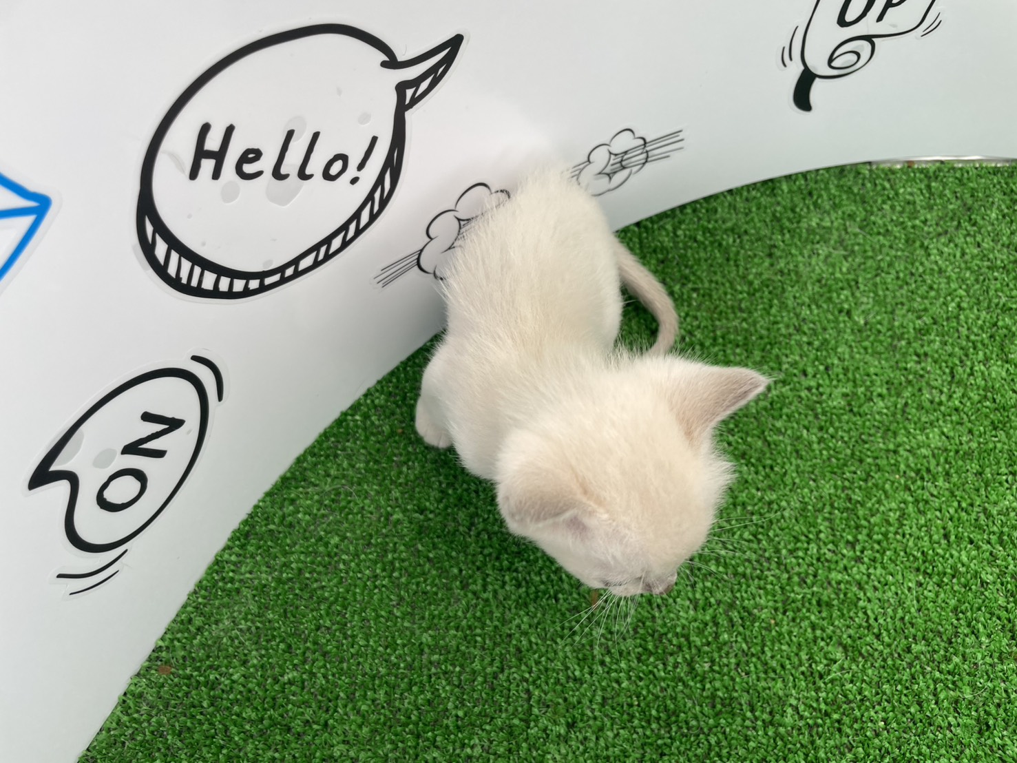 赤ちゃん写真2-3