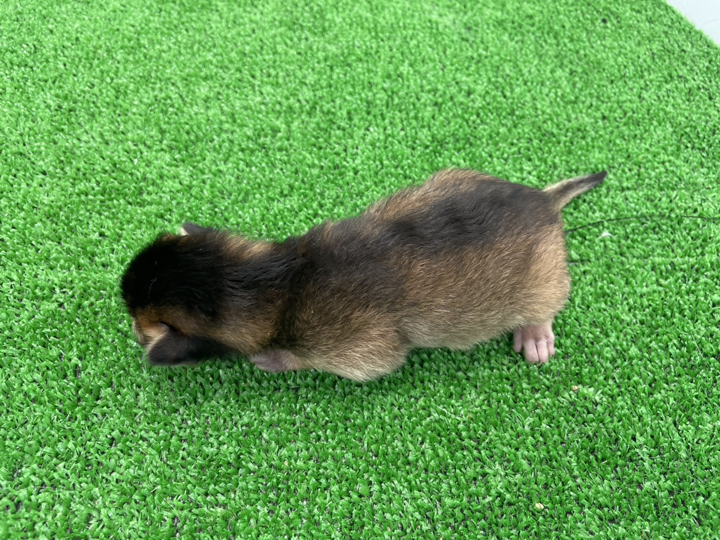 赤ちゃん写真1-3