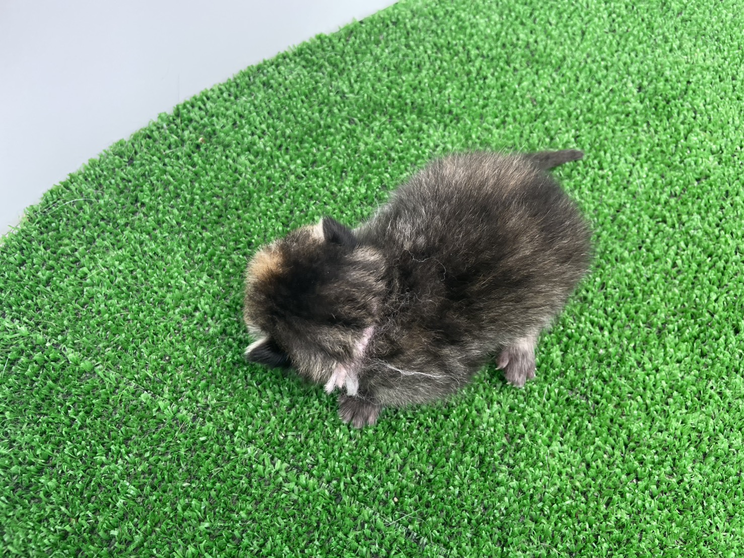 赤ちゃん写真1-3
