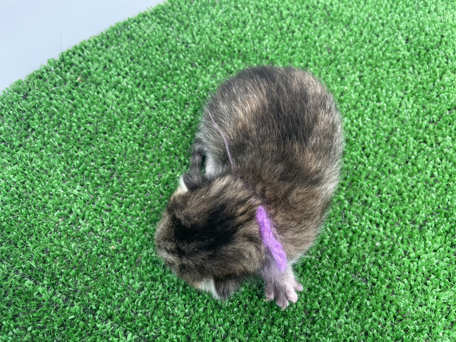 赤ちゃん写真1-3