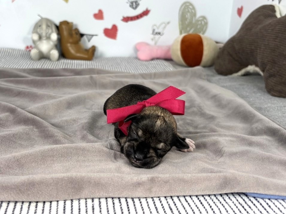 赤ちゃん写真1-1