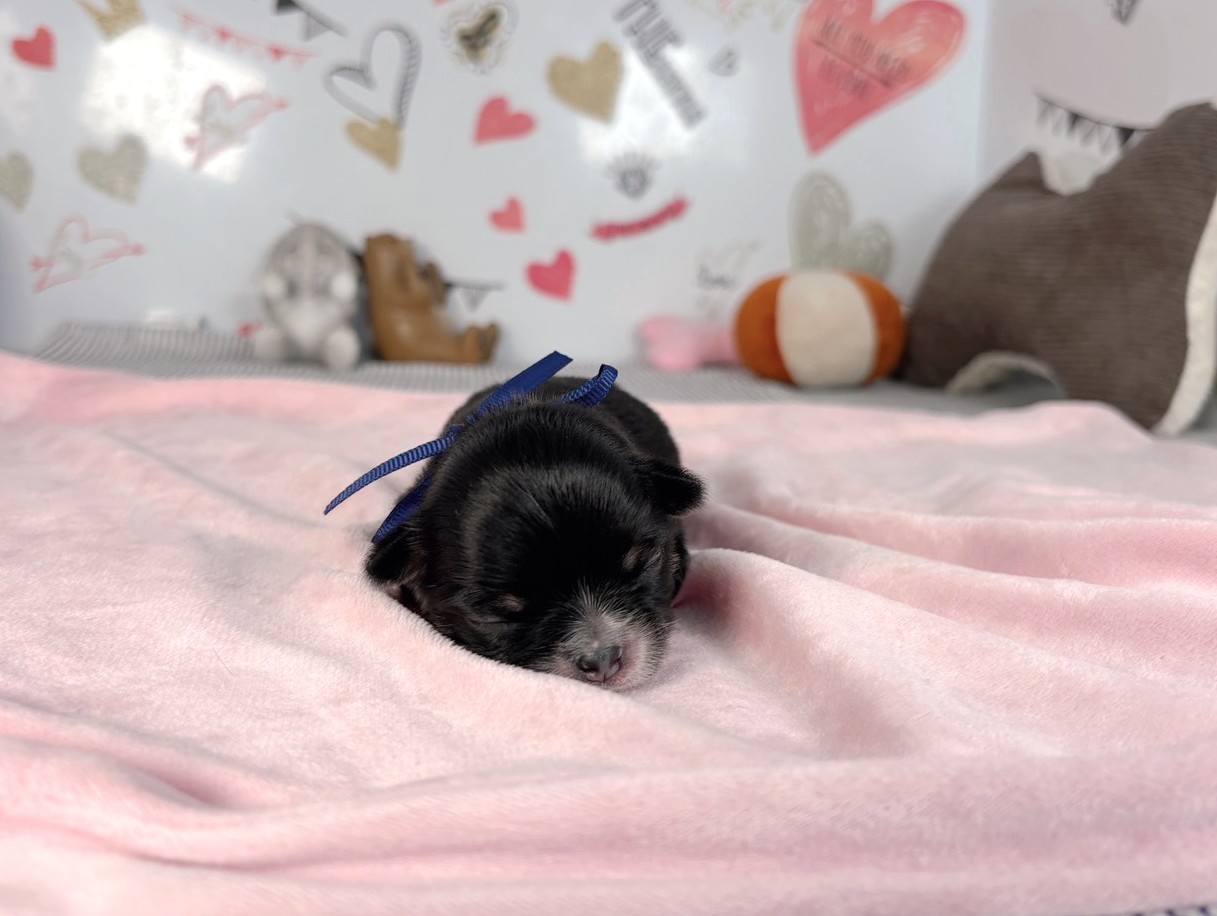 赤ちゃん写真1-1