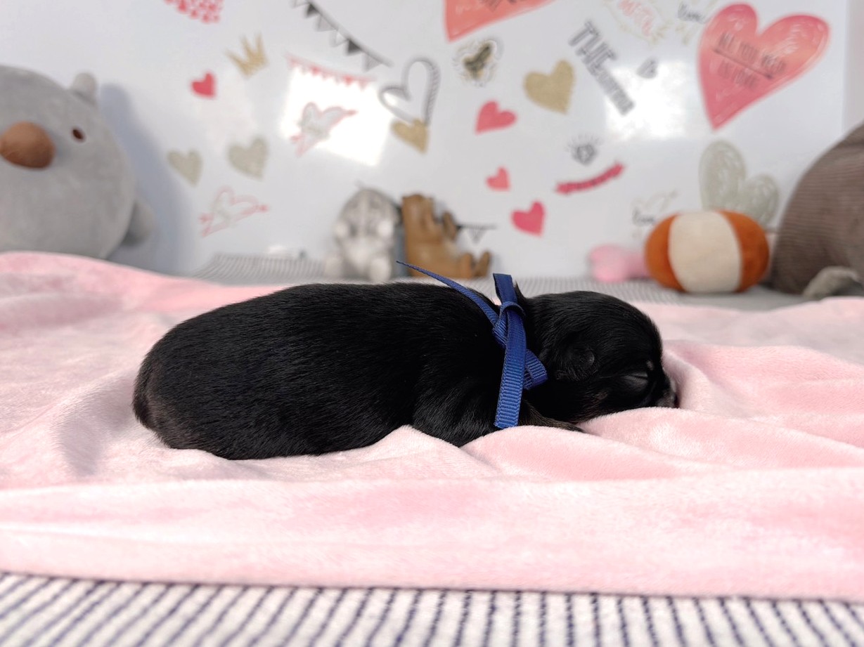 赤ちゃん写真1-2