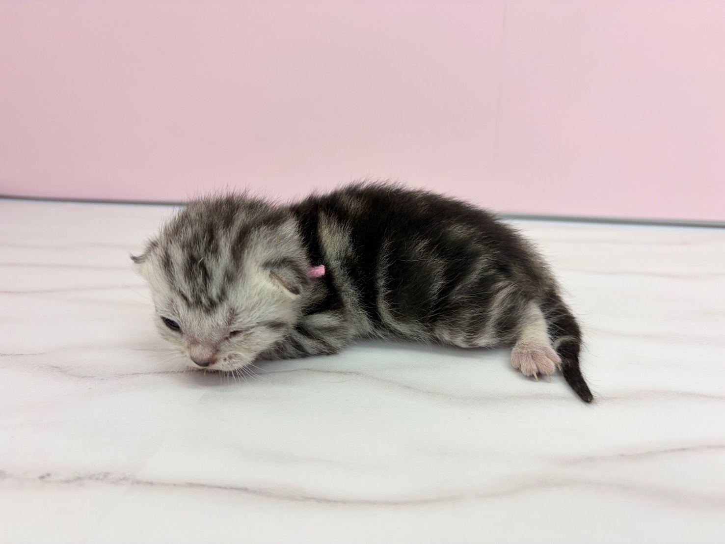 赤ちゃん写真1-2