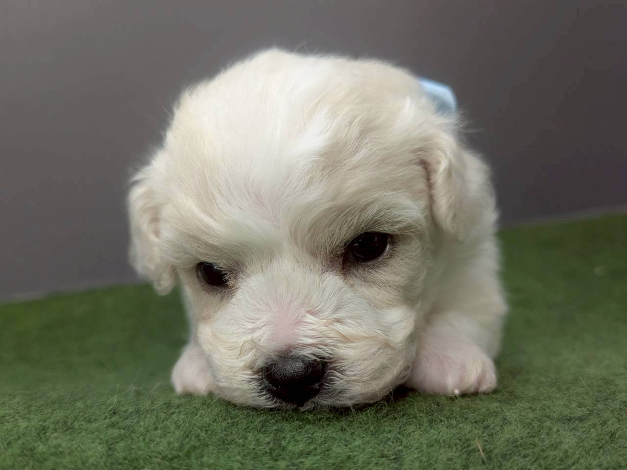 赤ちゃん写真2-1