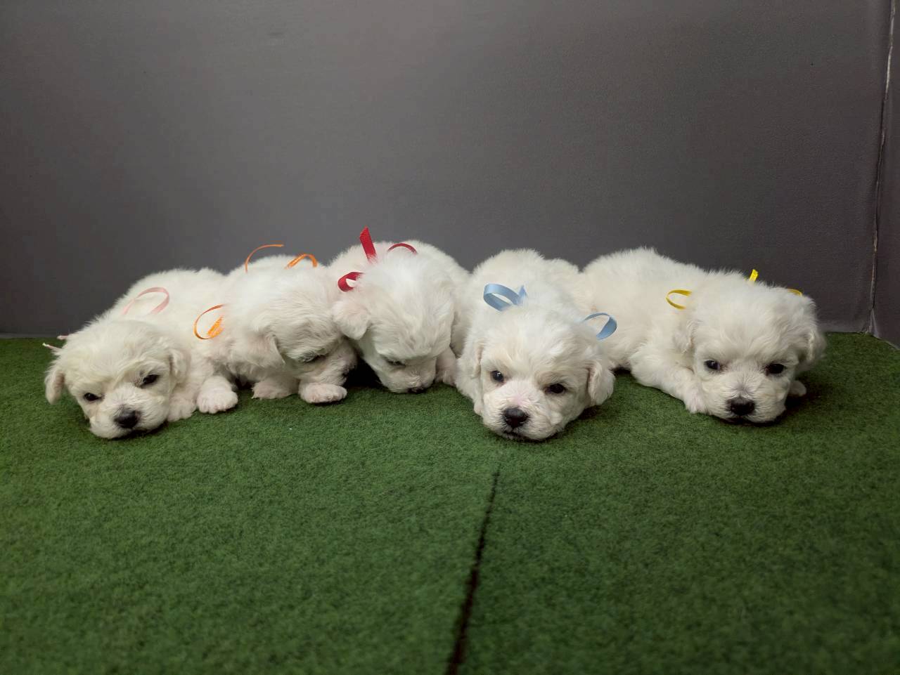 赤ちゃん写真2-3
