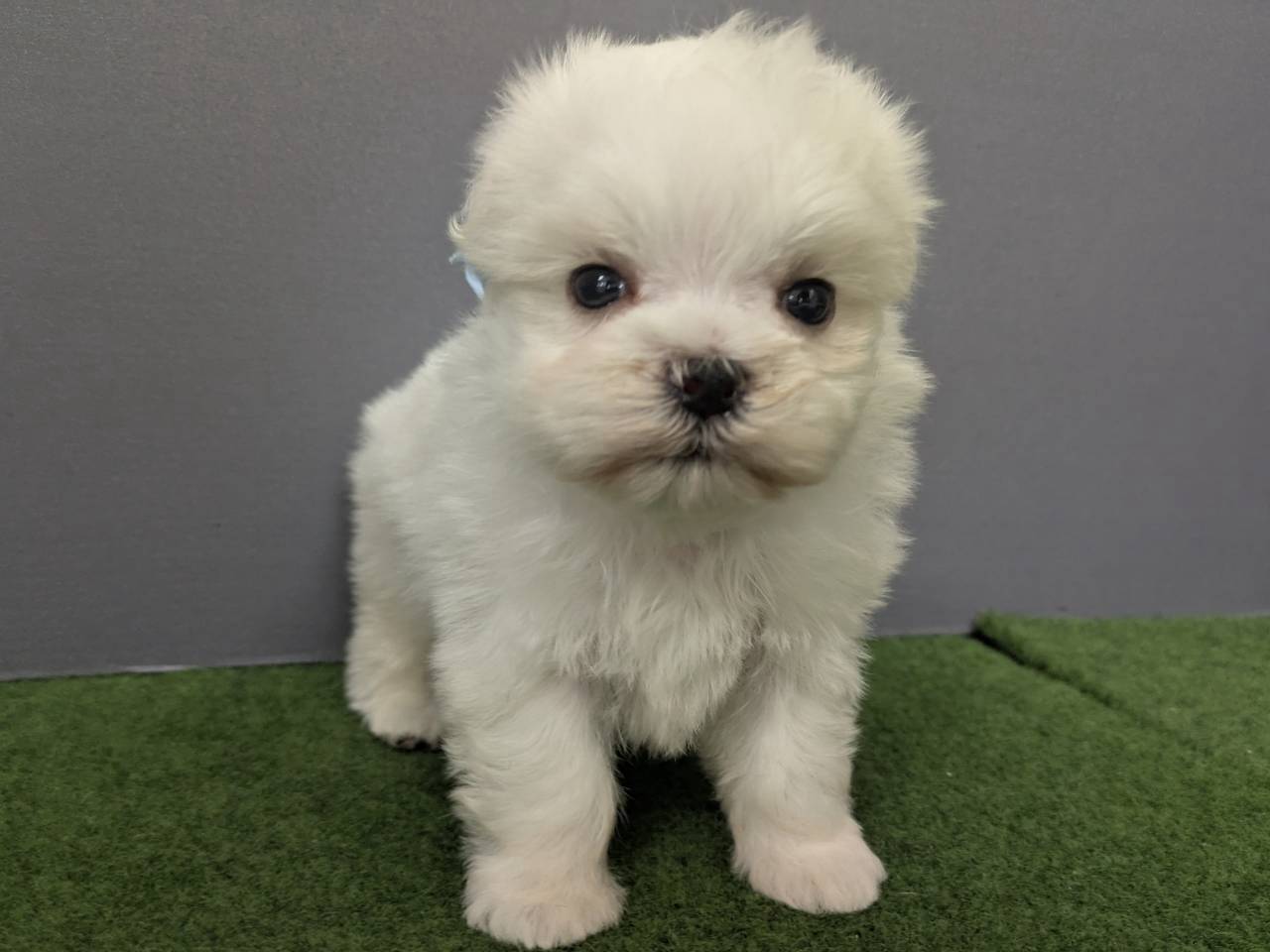 赤ちゃん写真2-1