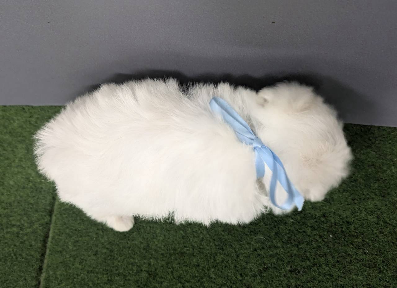 赤ちゃん写真2-3
