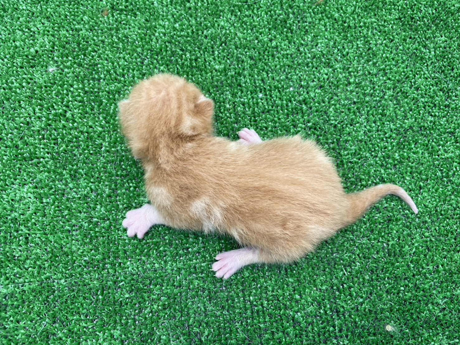 赤ちゃん写真1-3
