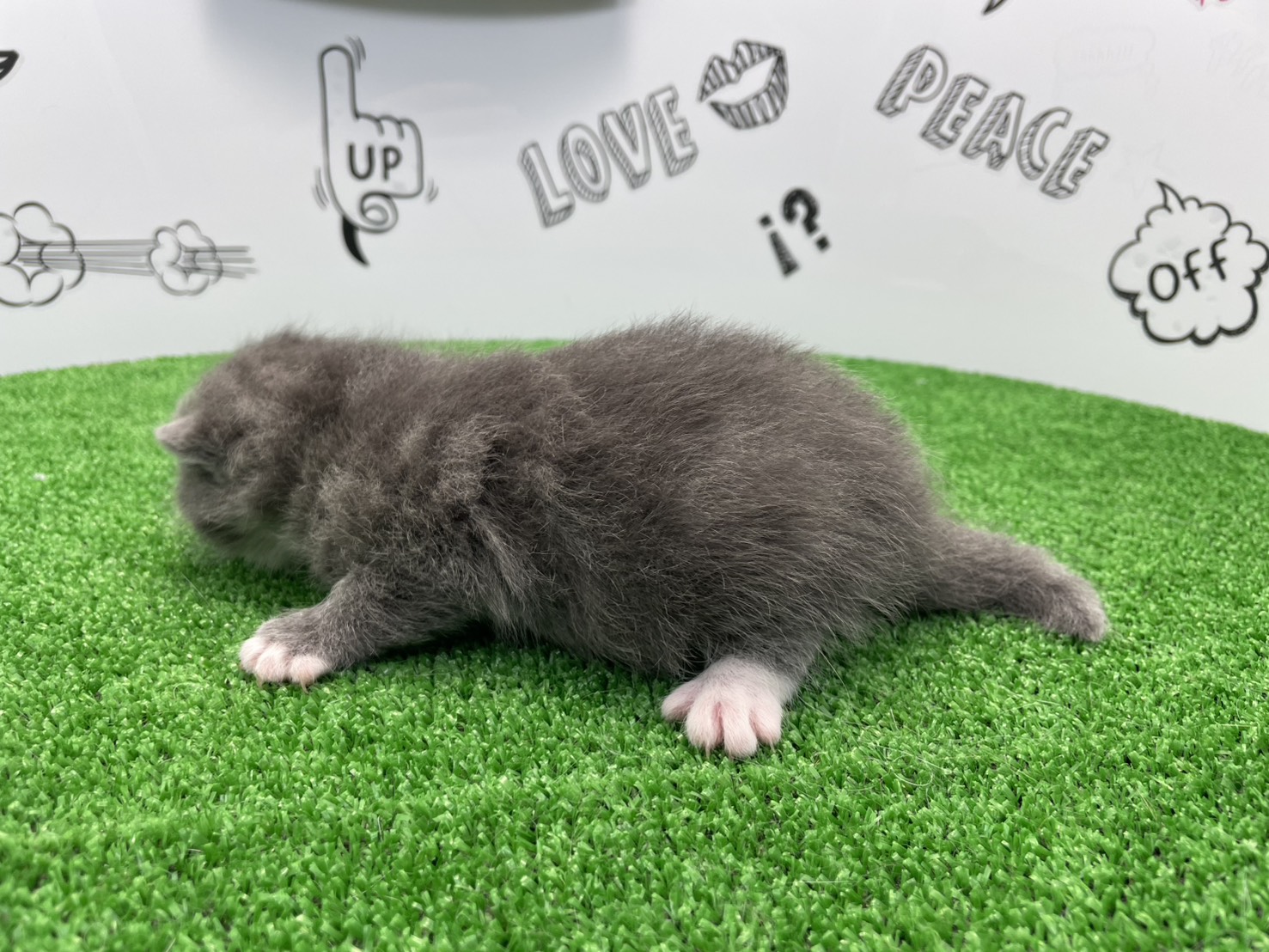 赤ちゃん写真1-2