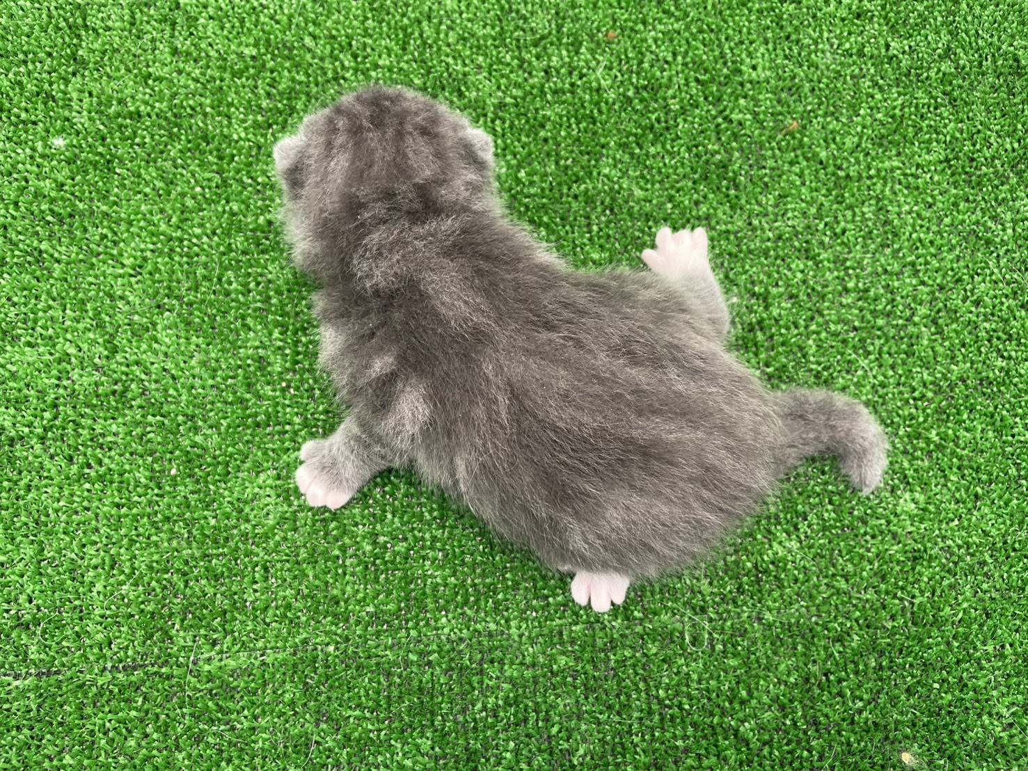 赤ちゃん写真1-3