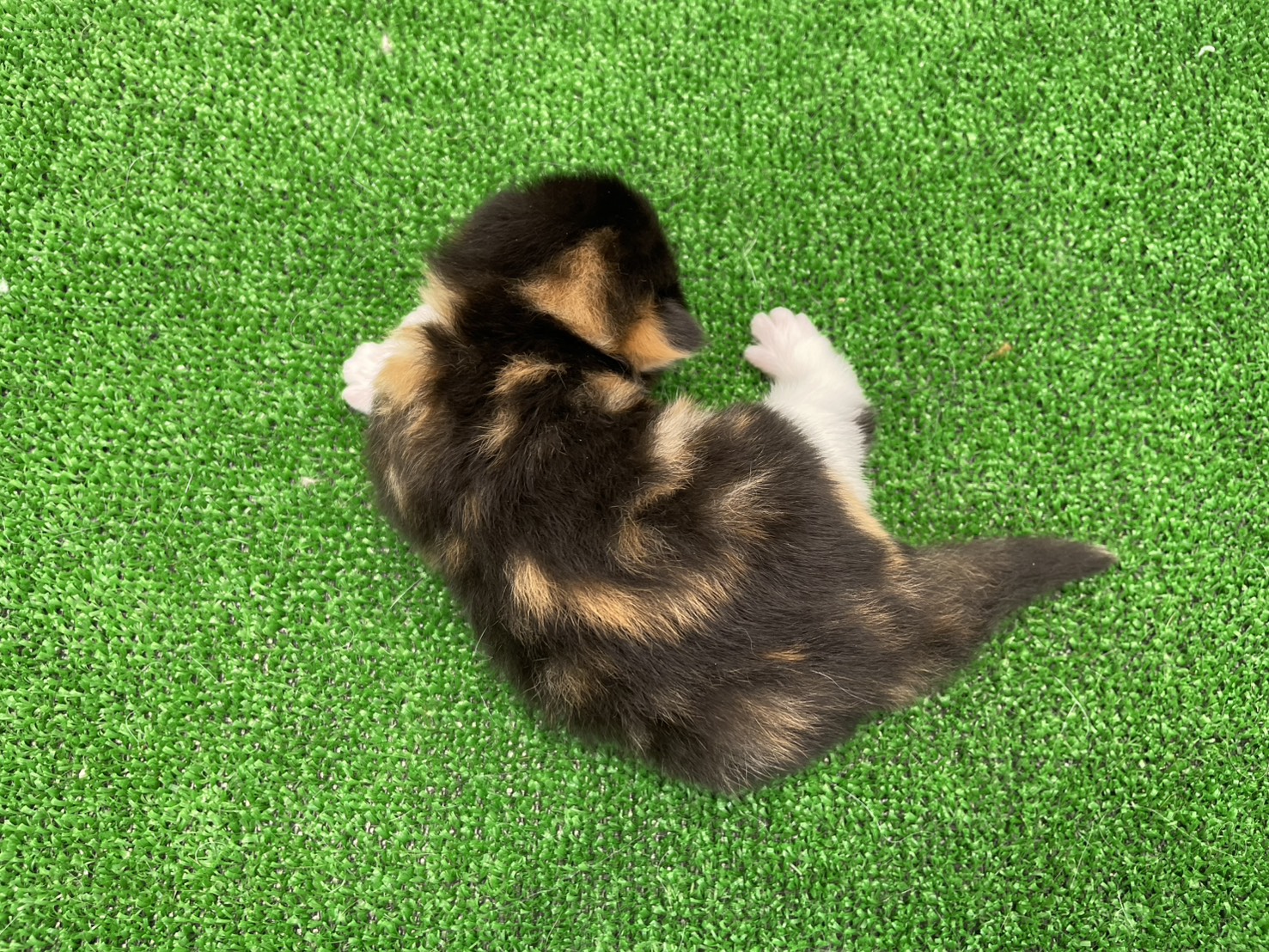 赤ちゃん写真1-3