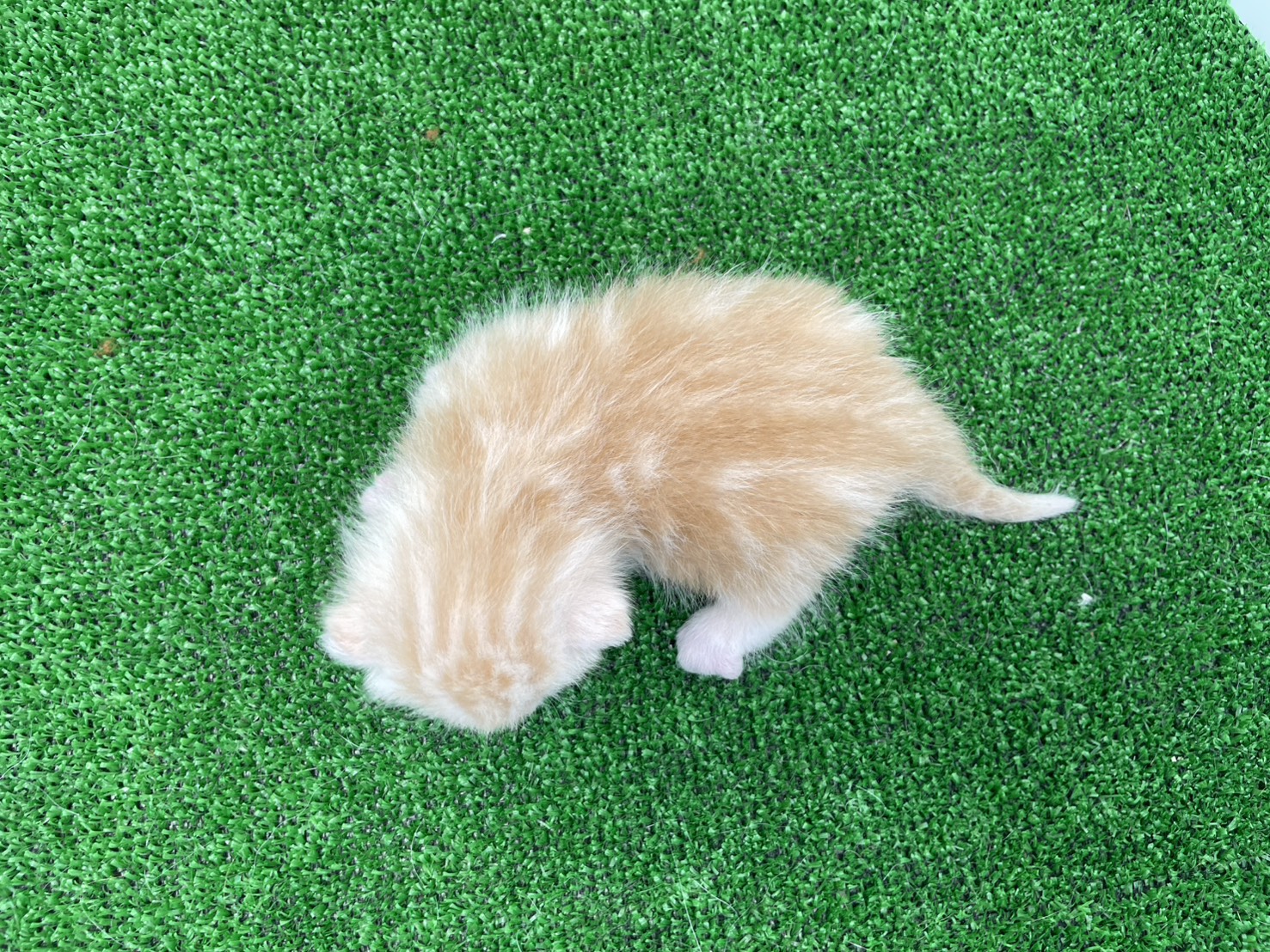 赤ちゃん写真1-3