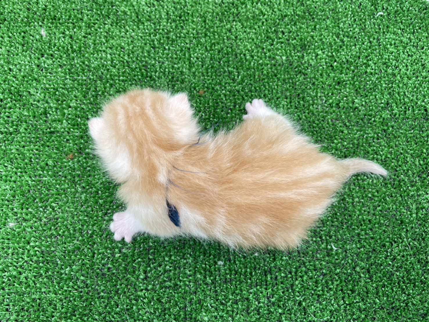 赤ちゃん写真1-3