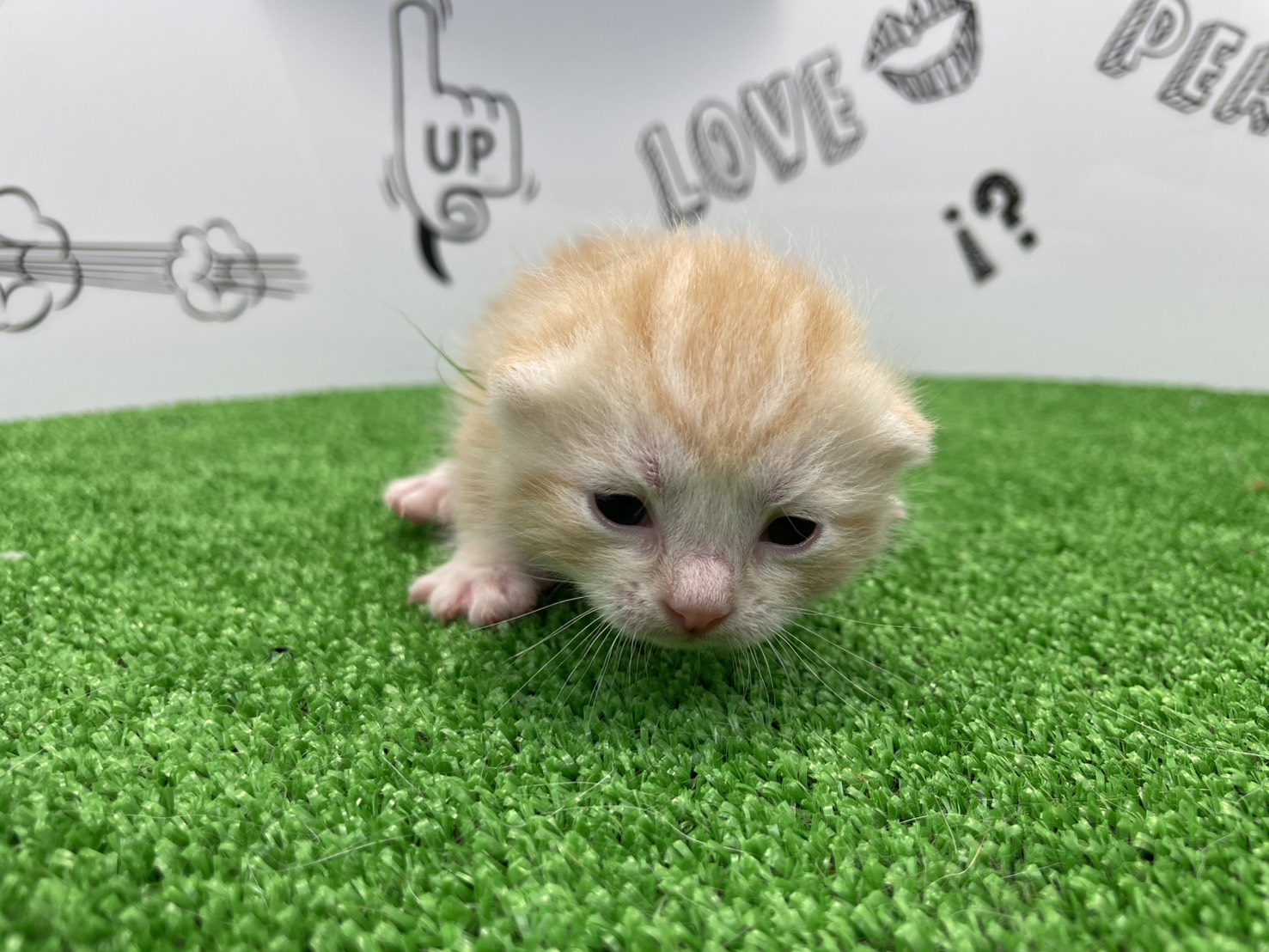 赤ちゃん写真1-1