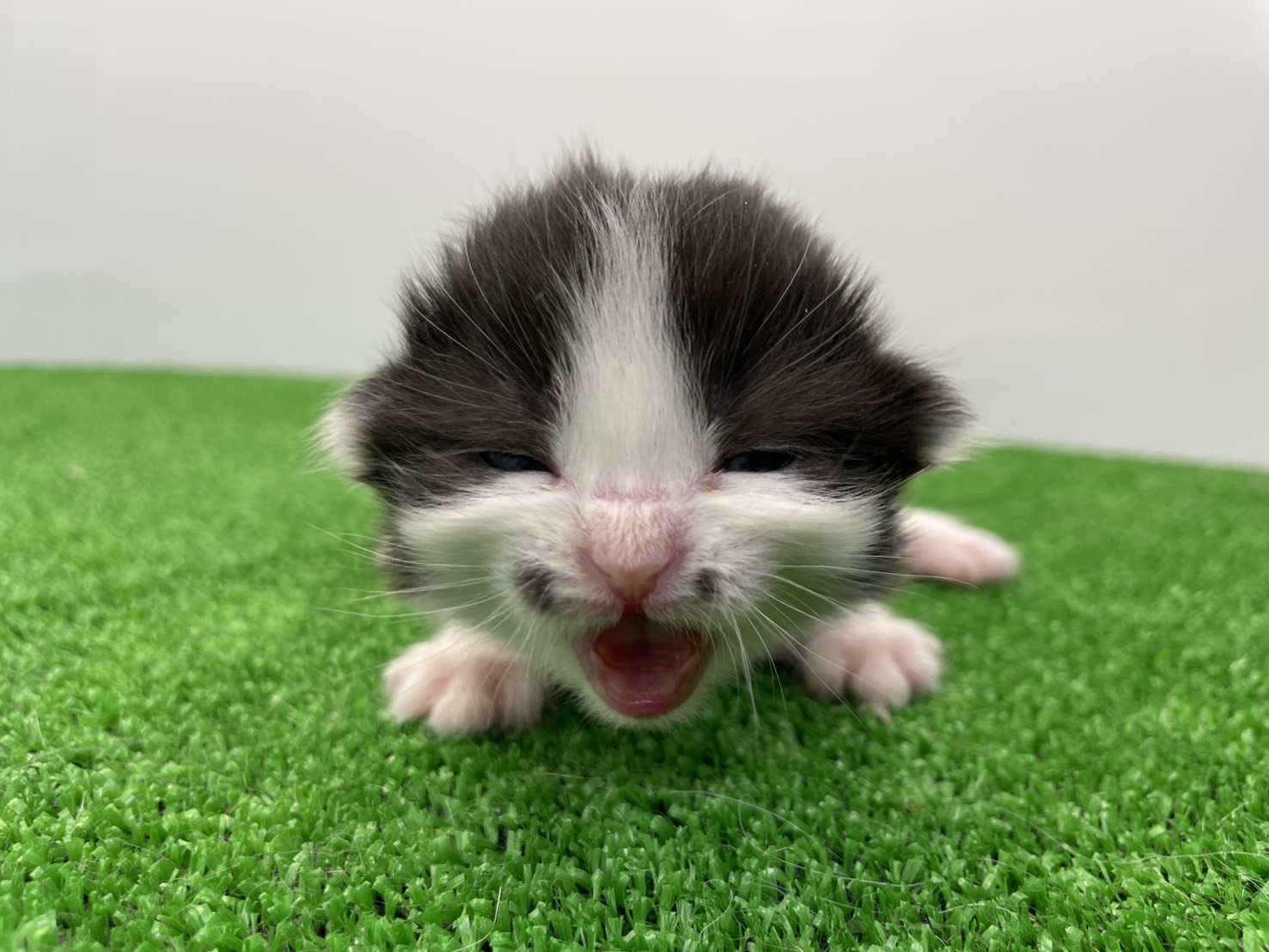 赤ちゃん写真1-1