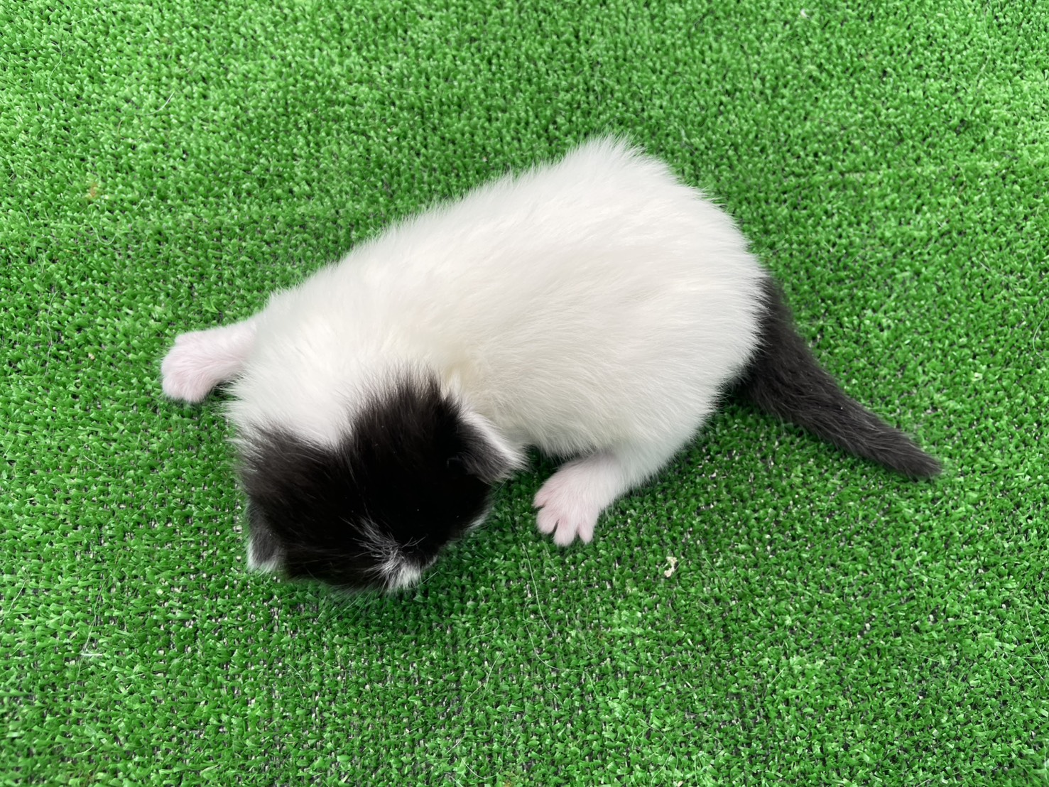 赤ちゃん写真1-3