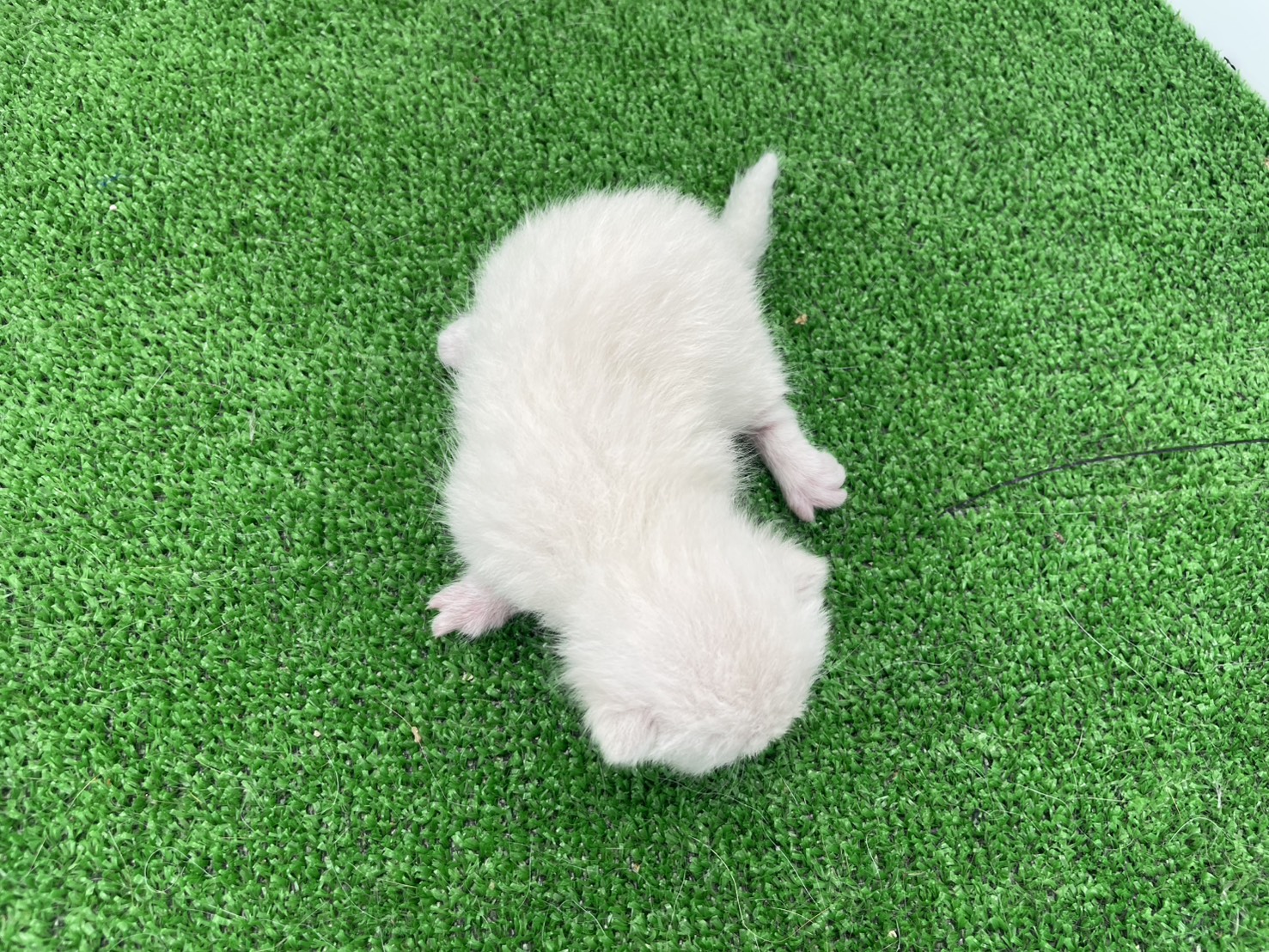 赤ちゃん写真1-3