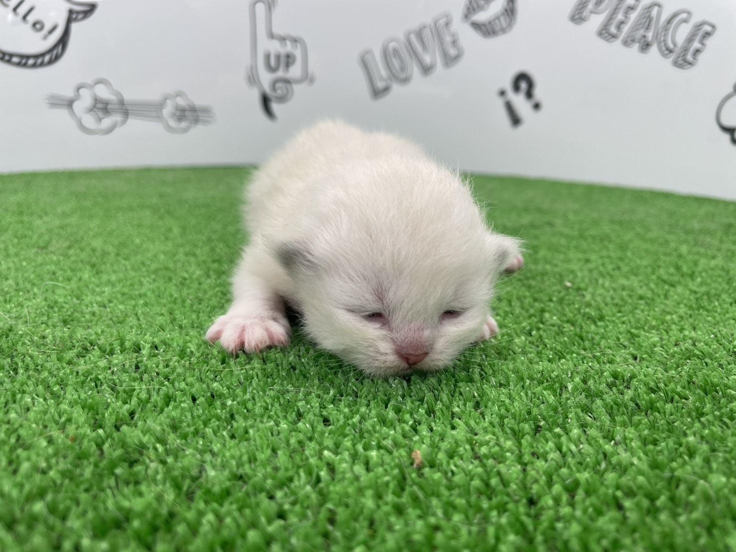 赤ちゃん写真1-1