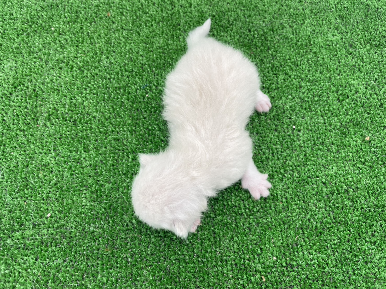 赤ちゃん写真1-3