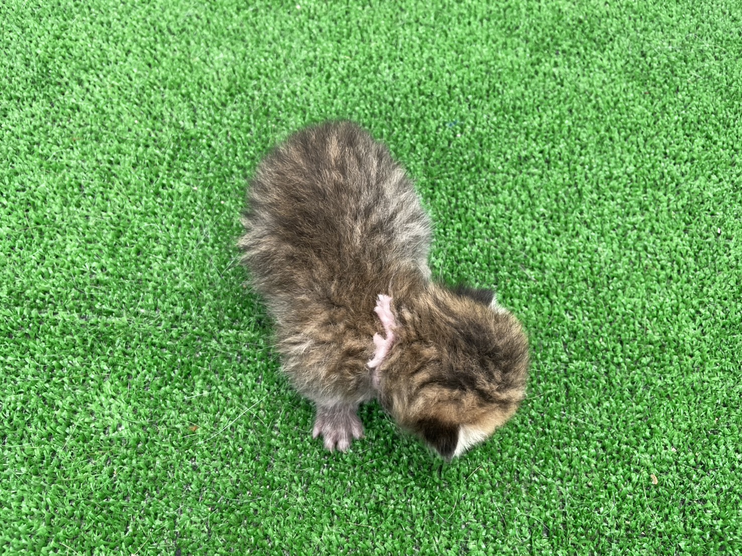 赤ちゃん写真1-3