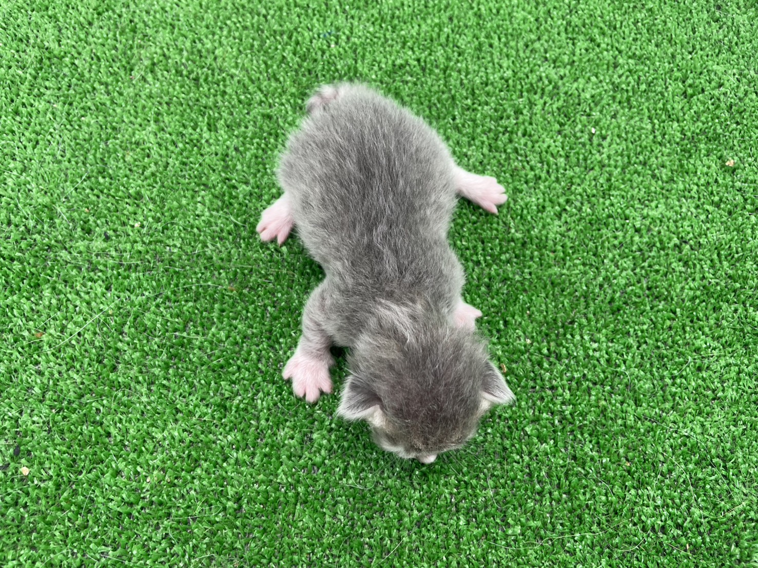赤ちゃん写真1-3