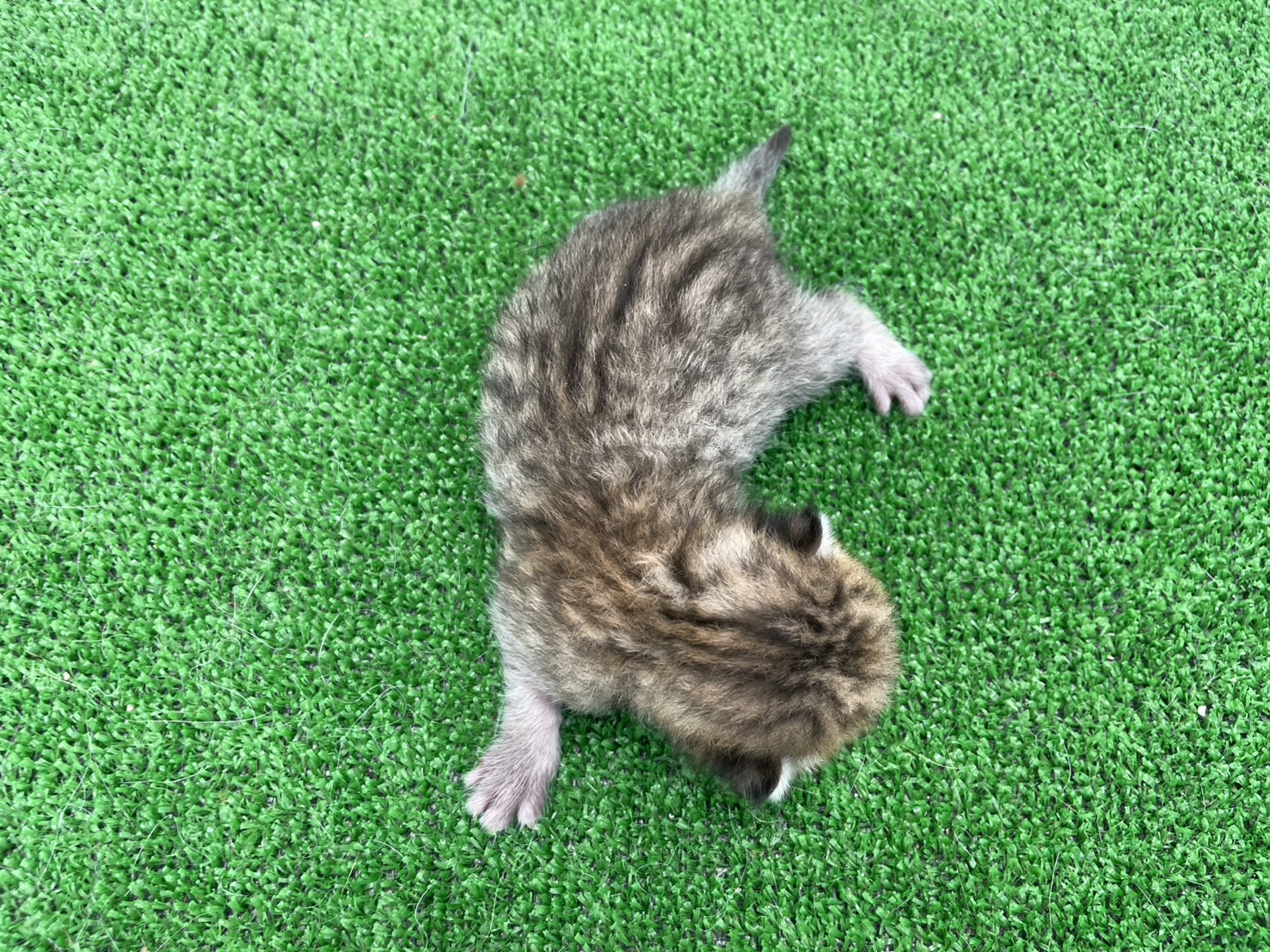 赤ちゃん写真1-3