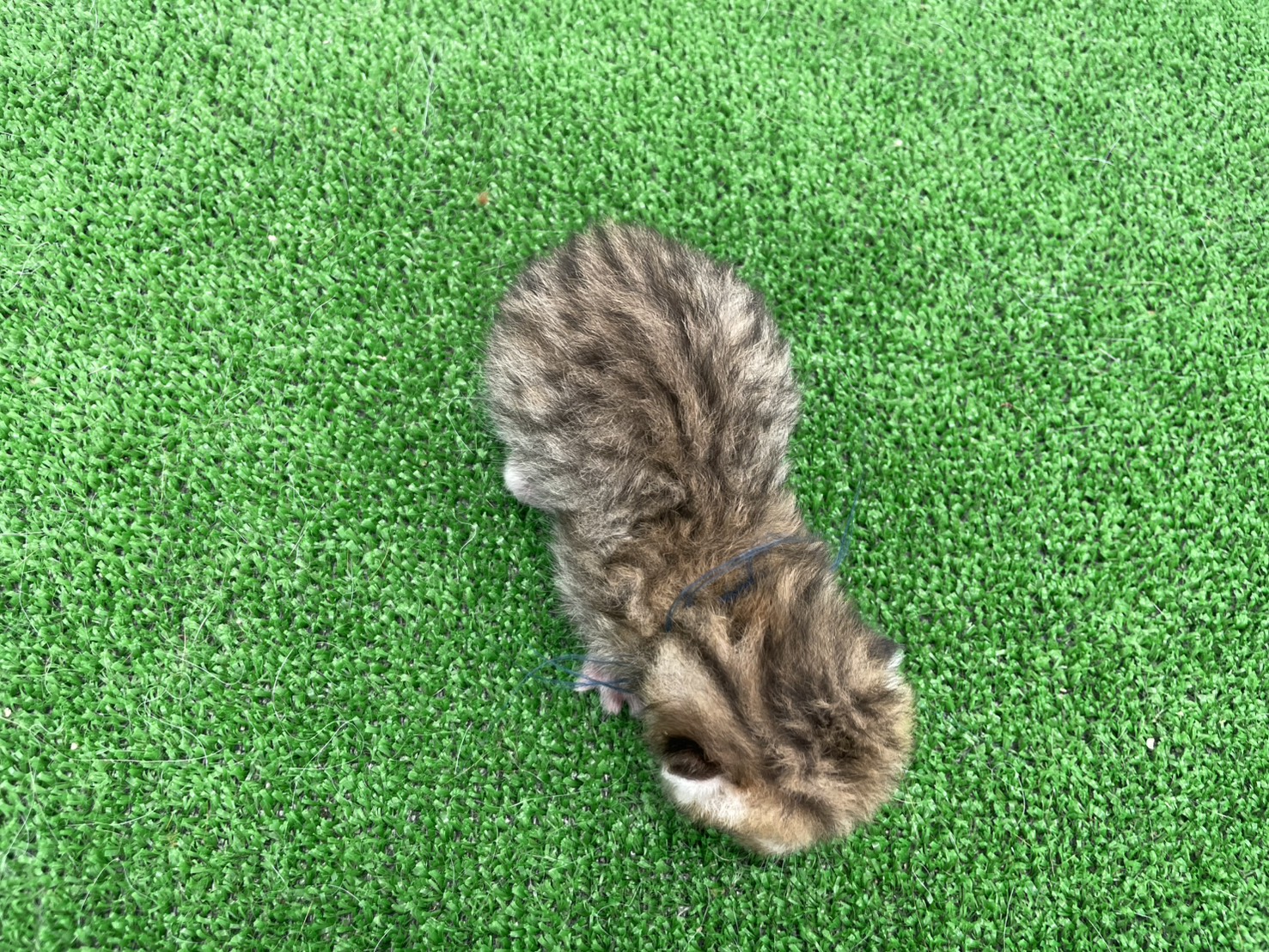 赤ちゃん写真1-3