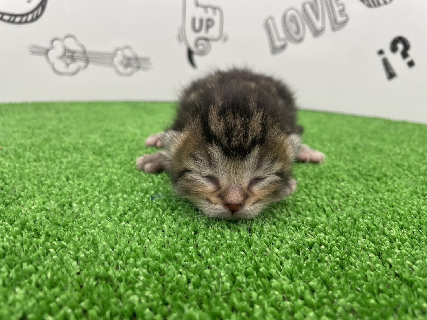 赤ちゃん写真1-1