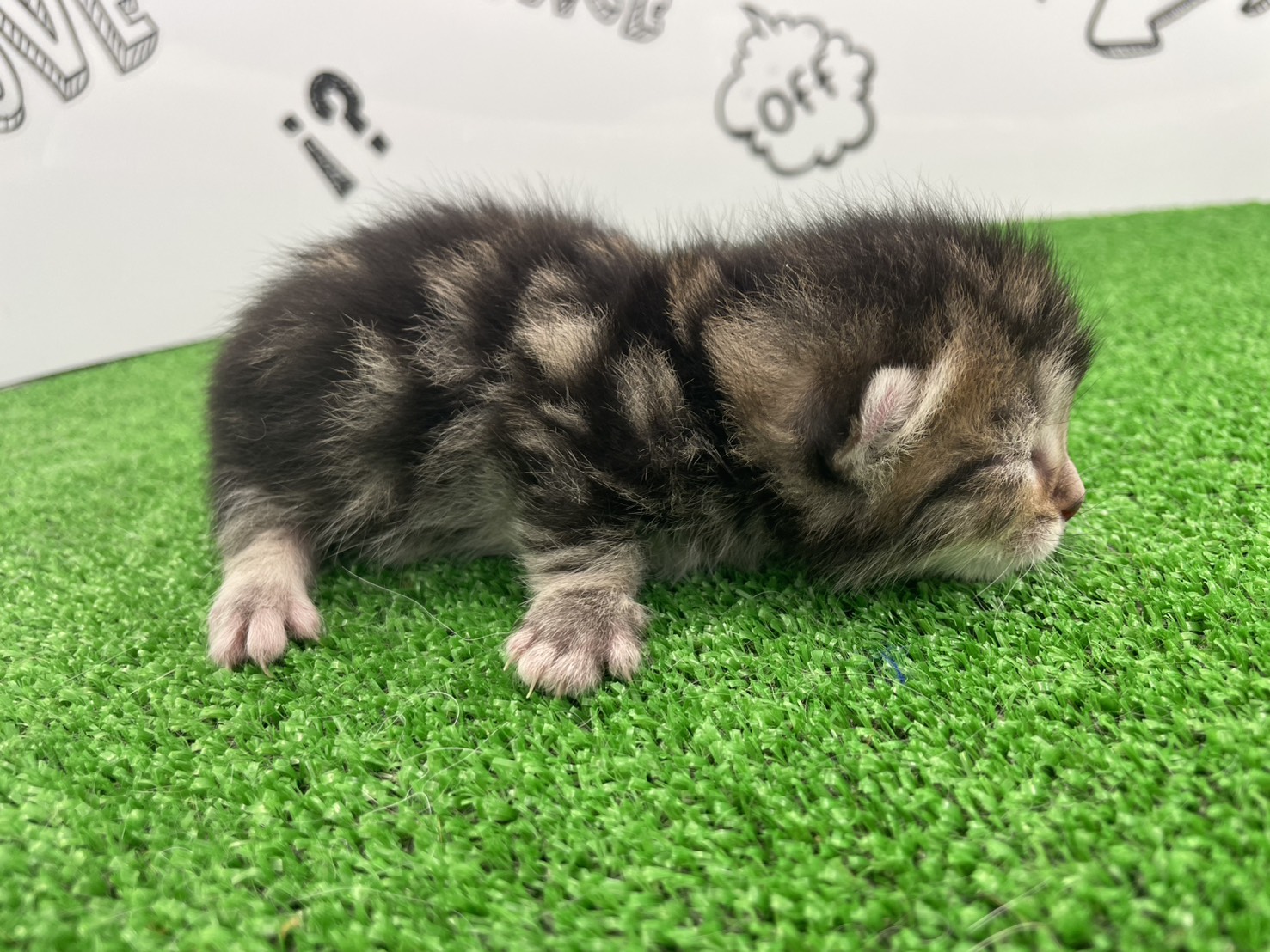 赤ちゃん写真1-2