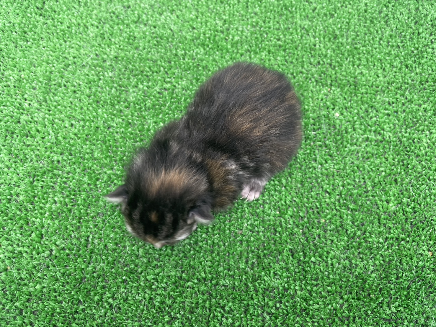 赤ちゃん写真1-3