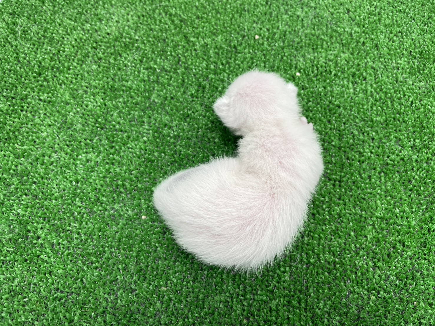 赤ちゃん写真1-3