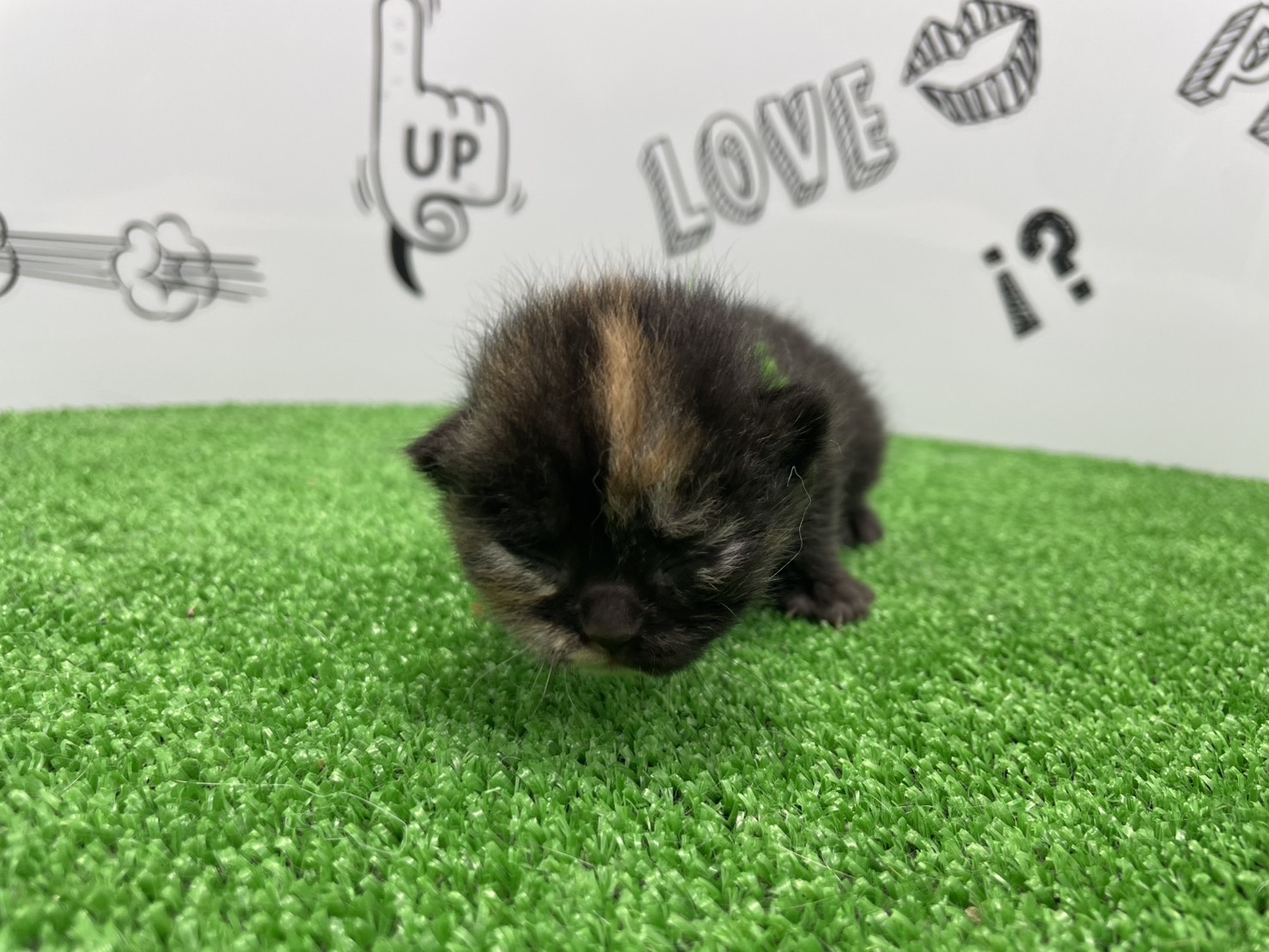 赤ちゃん写真1-1