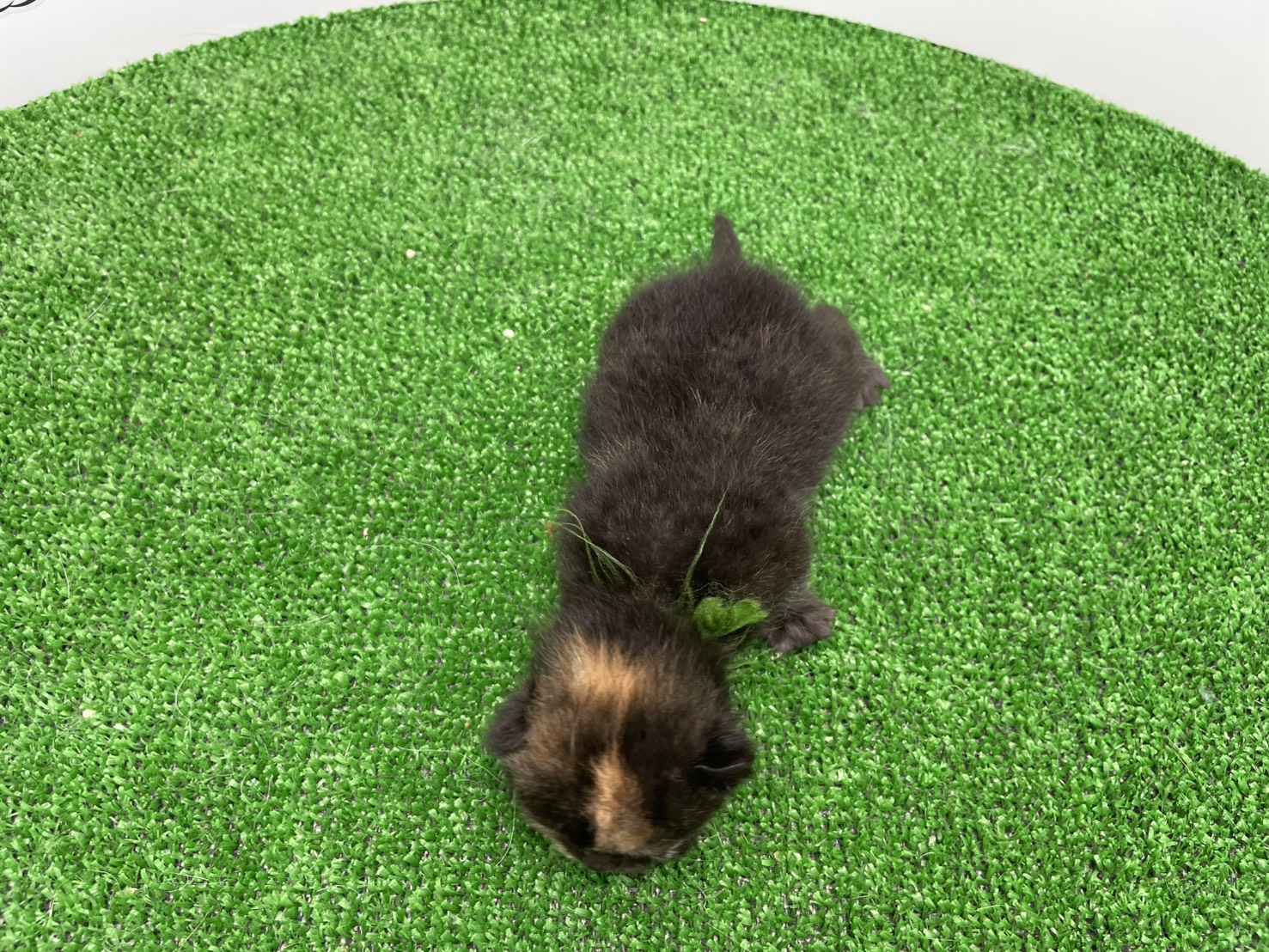 赤ちゃん写真1-3