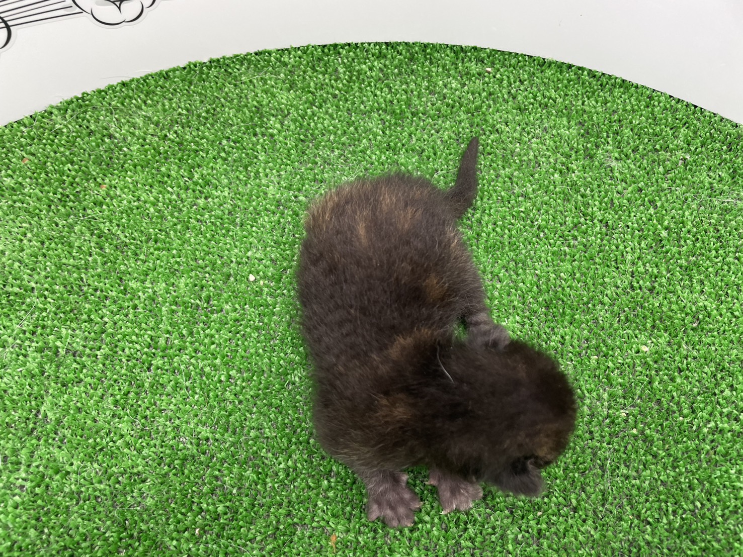 赤ちゃん写真1-3