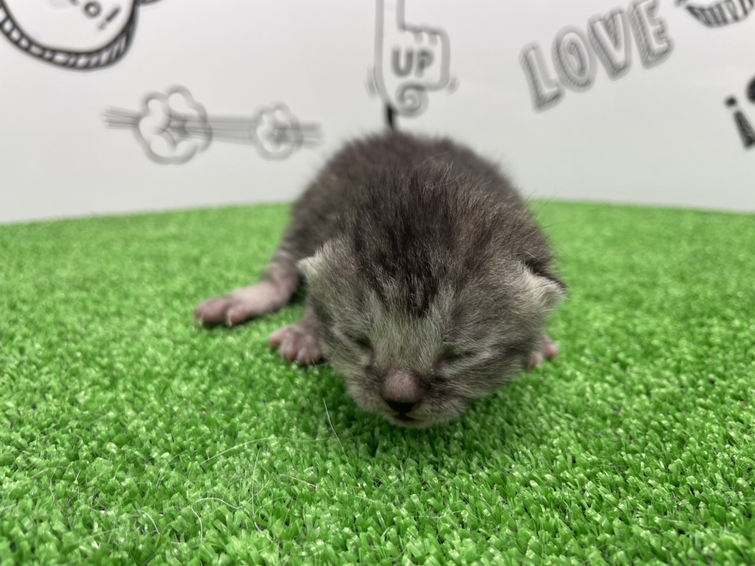 赤ちゃん写真1-1