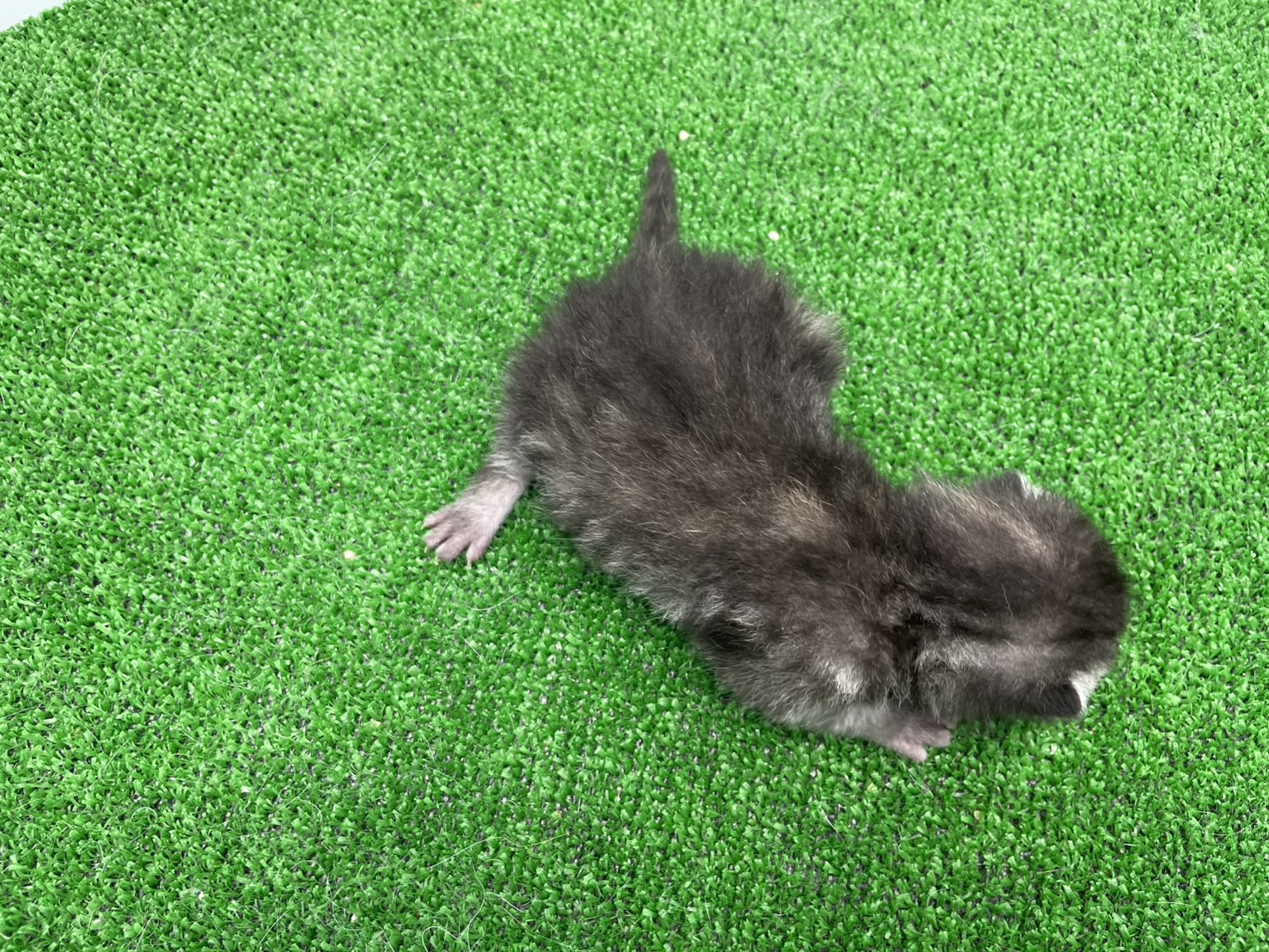 赤ちゃん写真1-3
