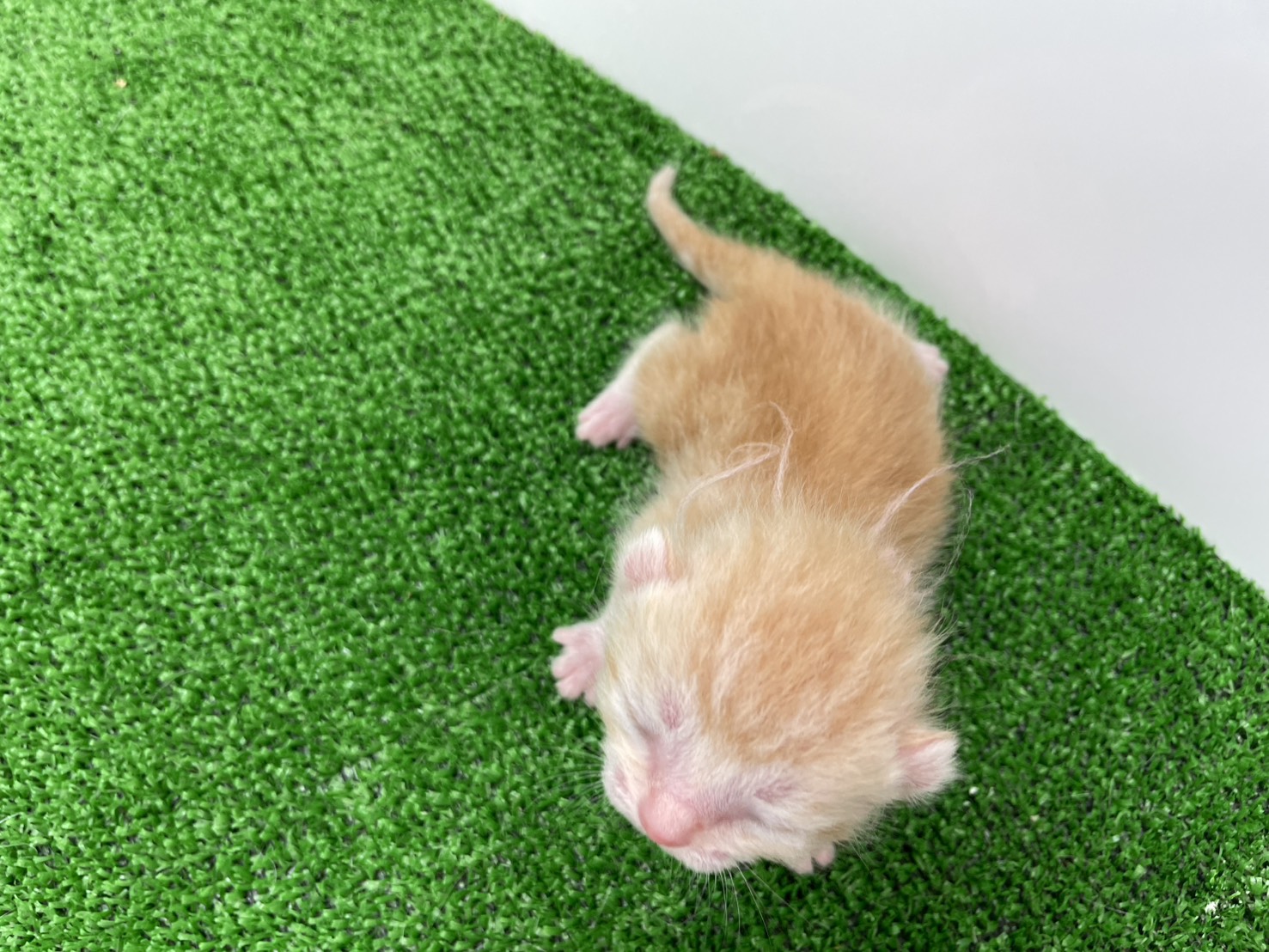 赤ちゃん写真1-3