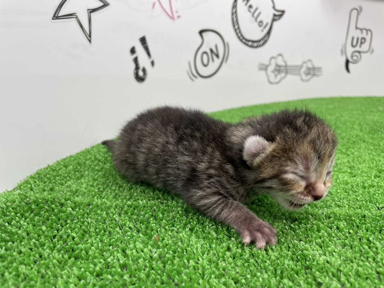 赤ちゃん写真1-2