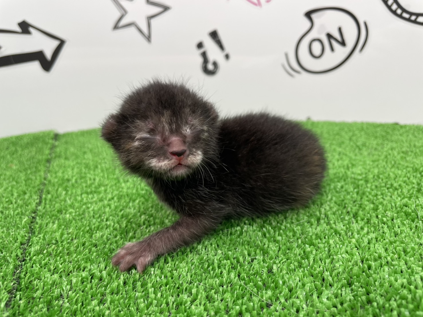 赤ちゃん写真1-2