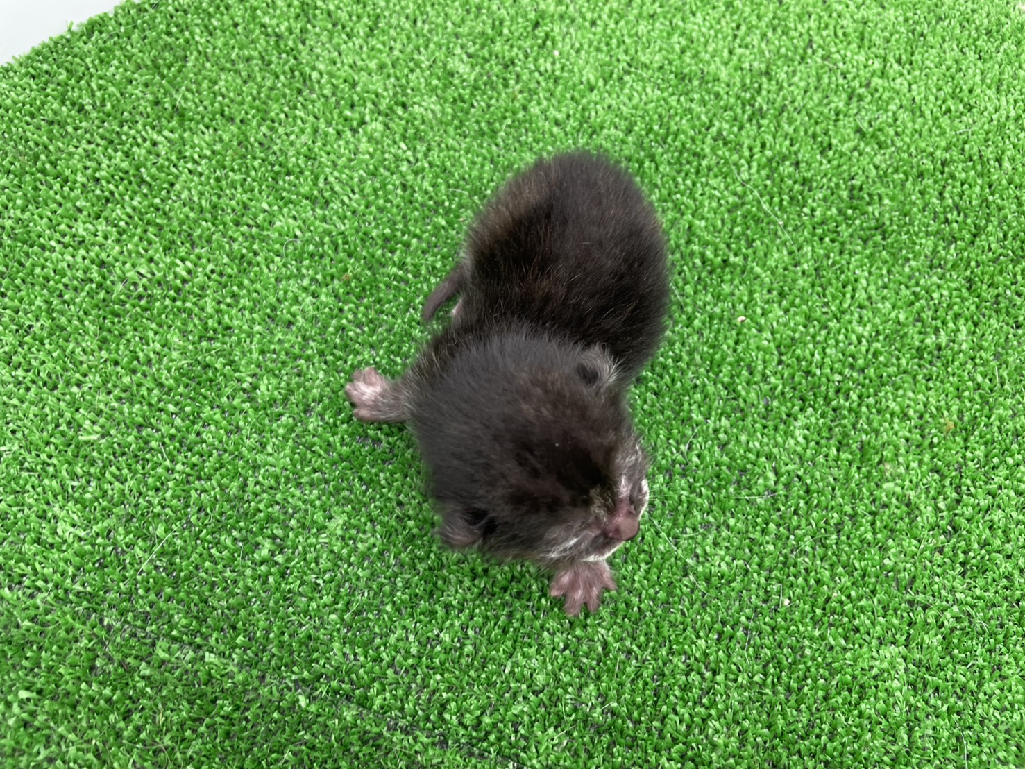 赤ちゃん写真1-3