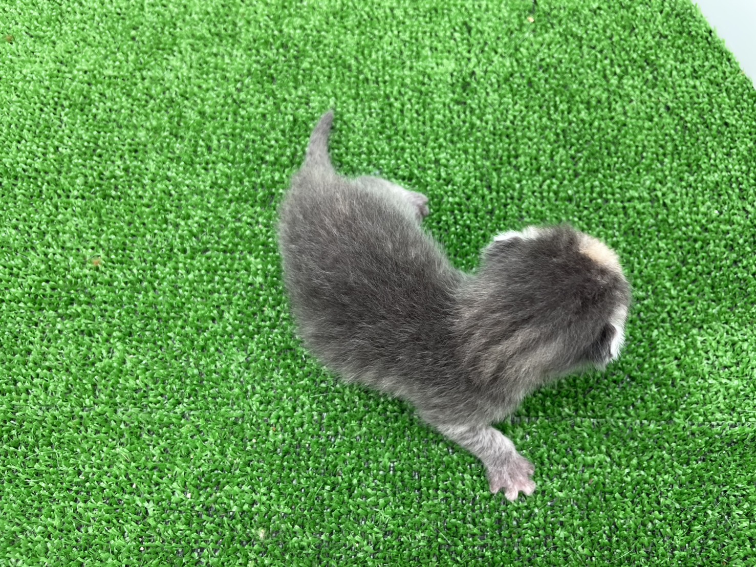 赤ちゃん写真1-3
