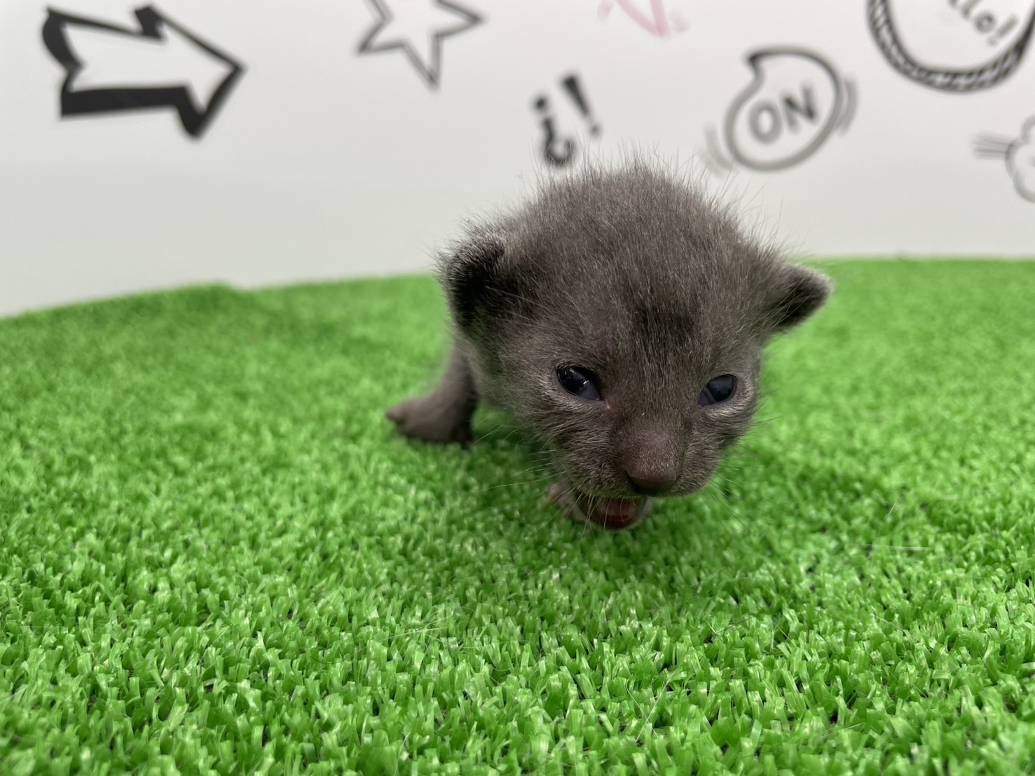 赤ちゃん写真1-1