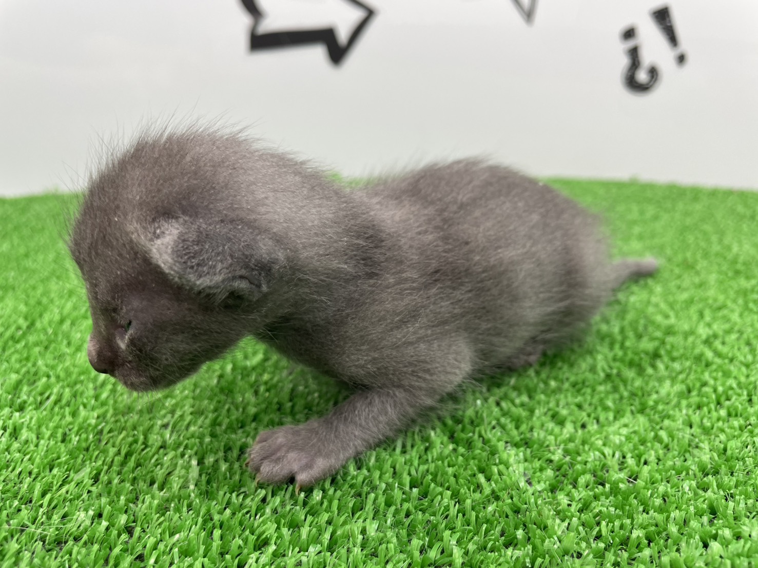 赤ちゃん写真1-2