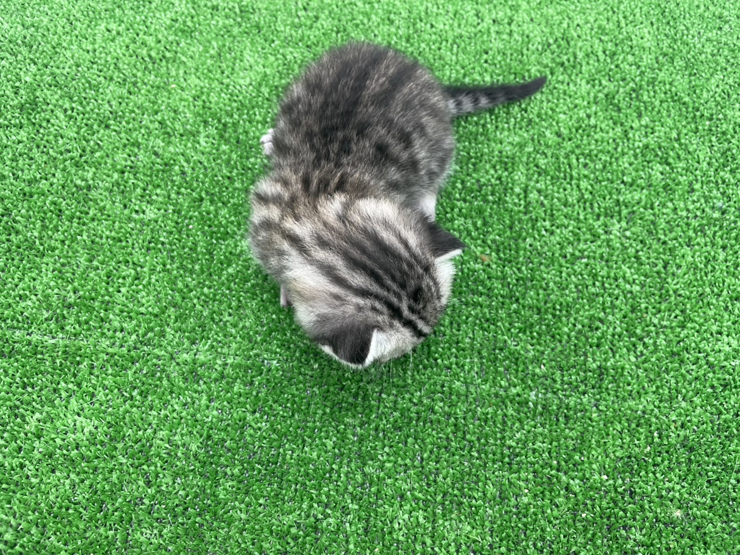 赤ちゃん写真1-3