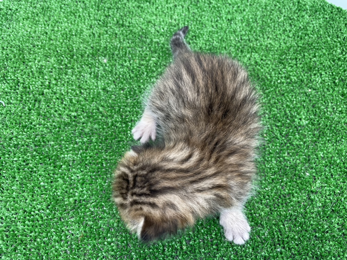 赤ちゃん写真1-3